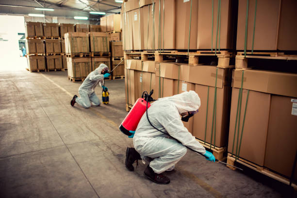 Best Affordable Pest Control Services  in Centreville, AL
