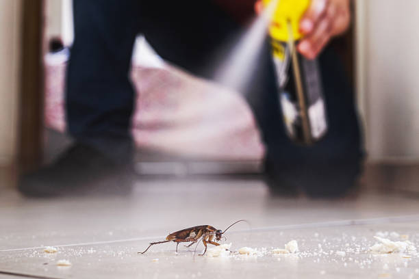 Best Pest Removal Services  in Centreville, AL
