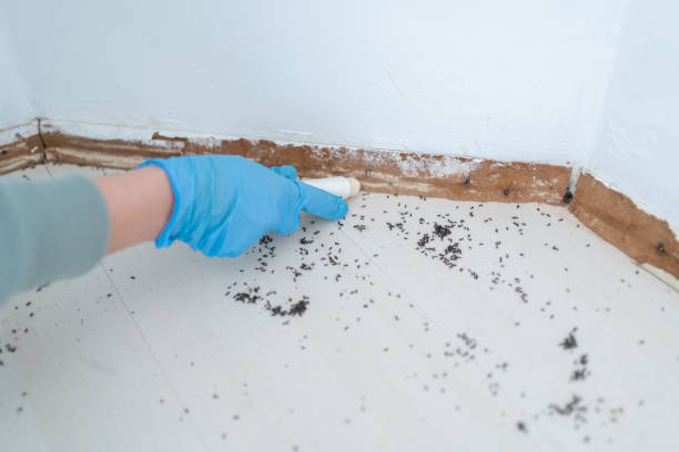 Best Emergency Pest Control  in Centreville, AL