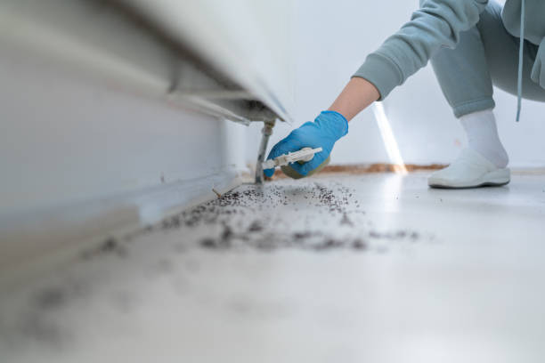 Best Termite Control Services  in Centreville, AL
